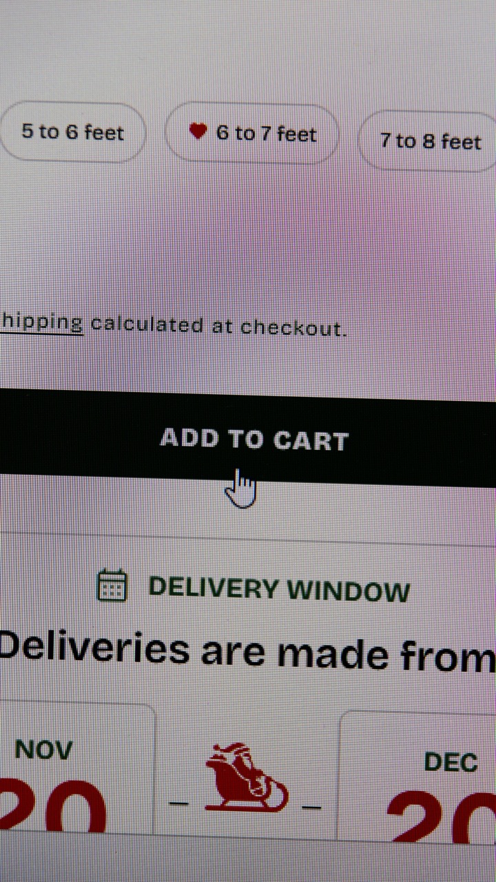 Page produit d'une boutique en ligne avec le bouton d'ajout au panier